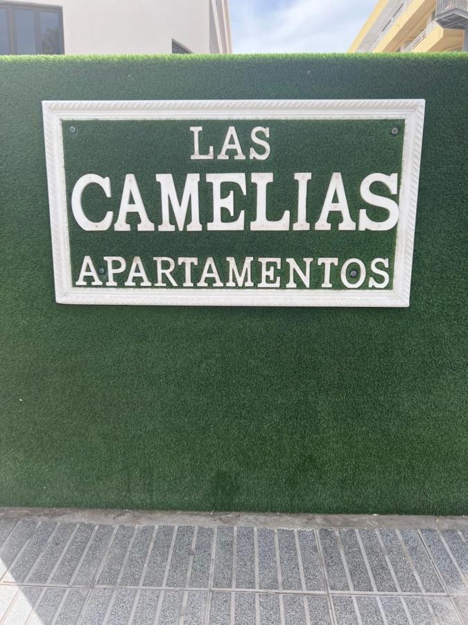Appartement Yumbo Camelias Playa del Inglés